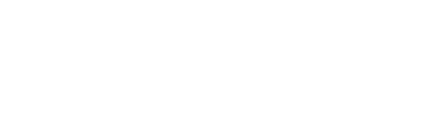bravo group consulting logo